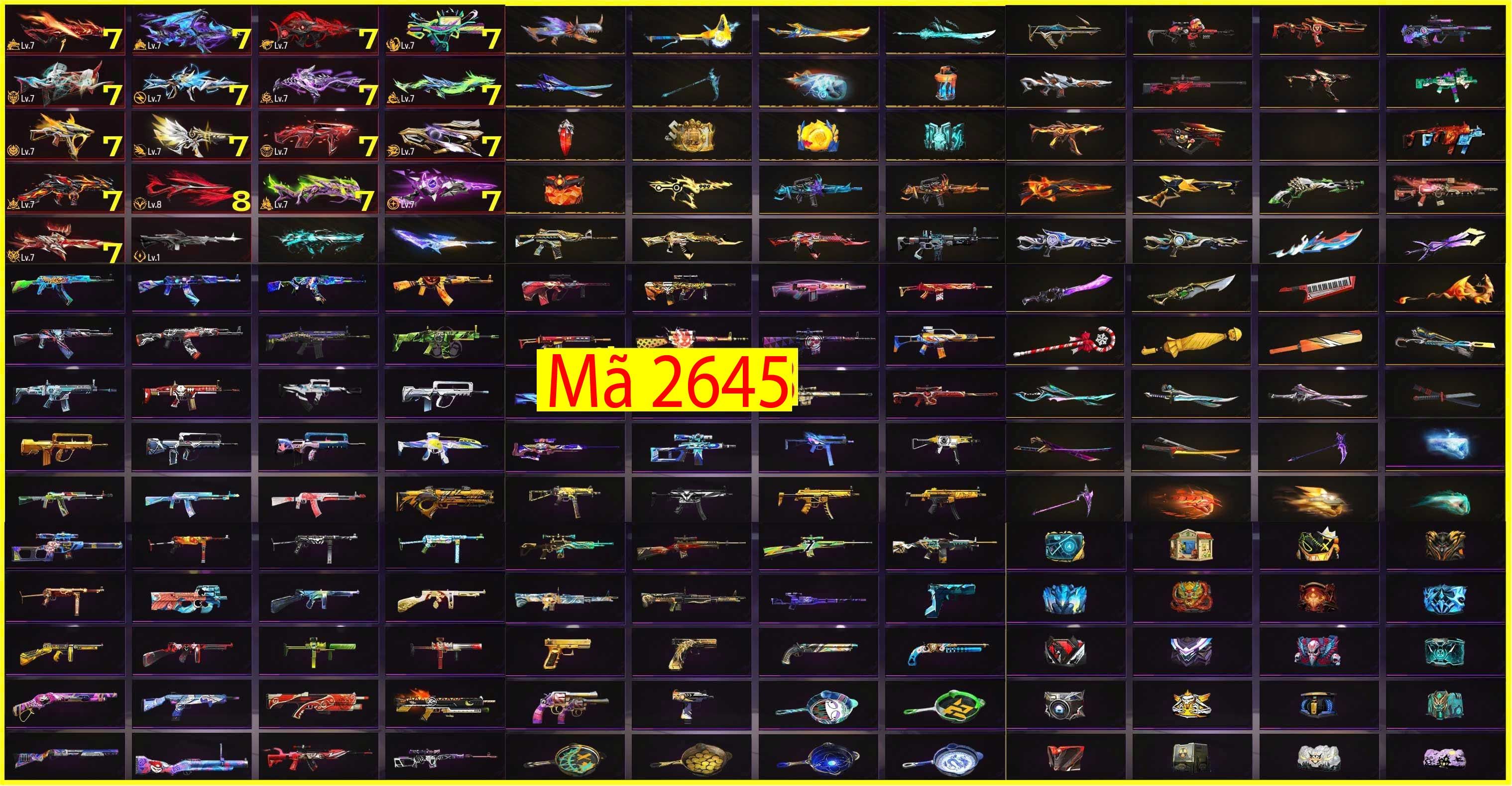 Hình ảnh 1 của tài khoản #1198