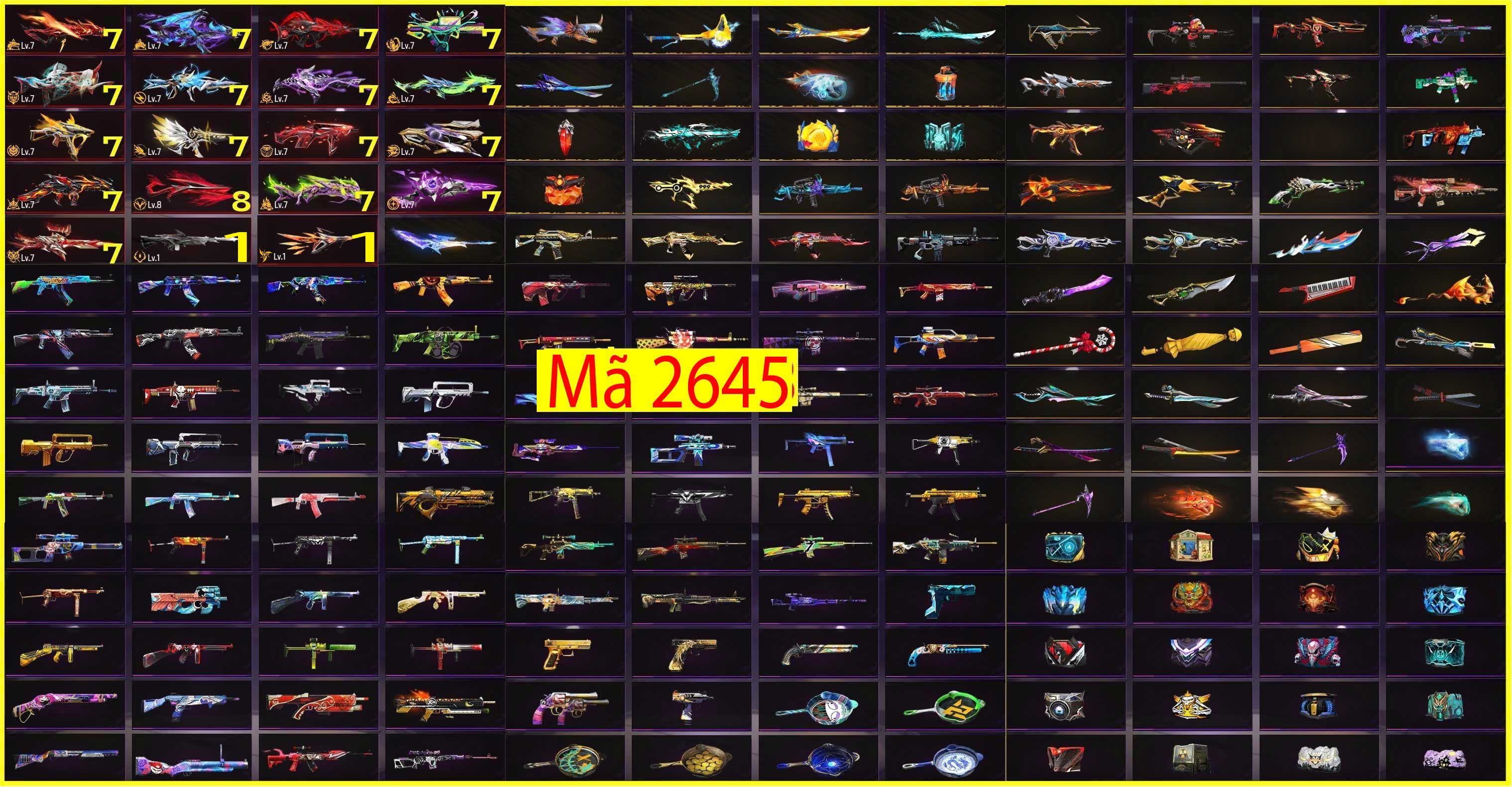 Hình ảnh 1 của tài khoản #1198